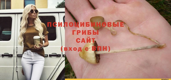а пвп мука Алзамай