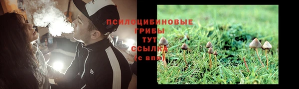 а пвп мука Алзамай